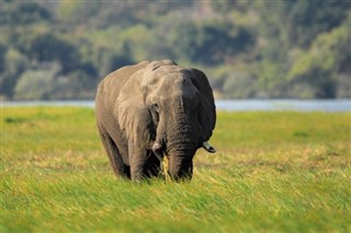 Botswana vejrudsigt