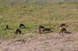 Botswana időjárás-jelentés