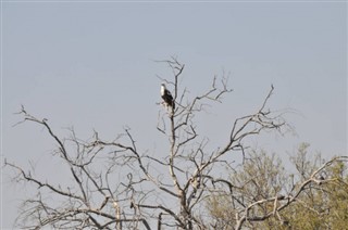 Botswana vejrudsigt