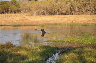 Botswana időjárás-jelentés