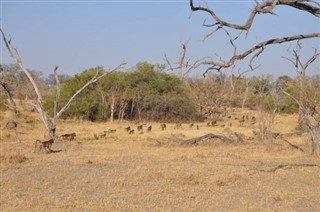 Botswana vejrudsigt