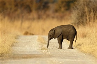 Botswana vejrudsigt