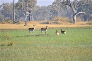 Botswana prévisions météorologiques