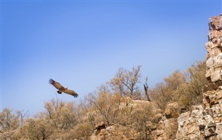 Botswana Previsioni del tempo
