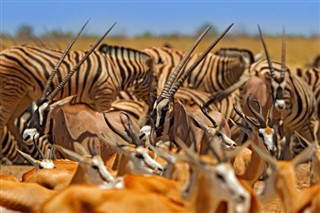Botswana időjárás-jelentés