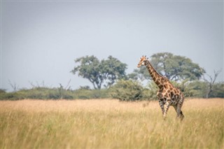 Botswana időjárás-jelentés