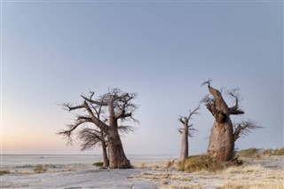 Botswana vejrudsigt
