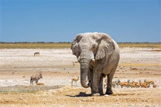 Botswana předpověď počasí