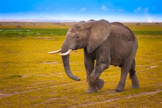 Botswana vejrudsigt
