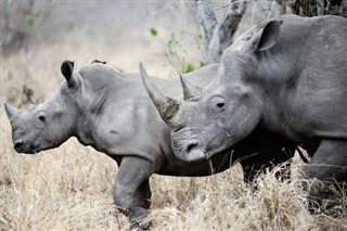 Botswana vejrudsigt