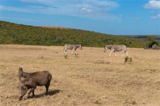 Botswana vejrudsigt