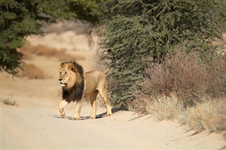 Botswana vejrudsigt