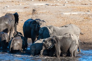 Botswana vejrudsigt