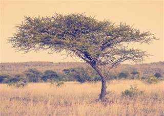 Botswana prévisions météorologiques