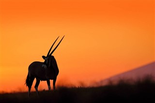 Botswana vejrudsigt