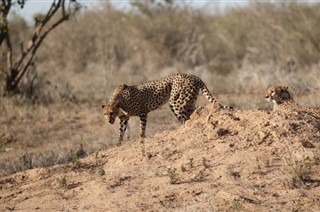 Botswana időjárás-jelentés