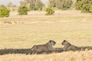 Botswana időjárás-jelentés