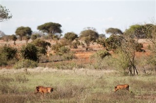 Botswana időjárás-jelentés