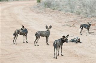 Botswana vejrudsigt