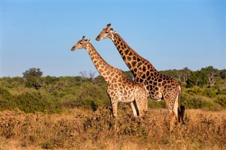 Botswana időjárás-jelentés