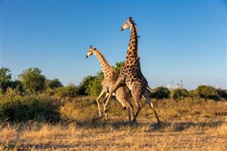 Botswana vejrudsigt