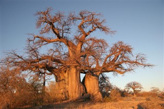 Botswana időjárás-jelentés