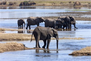 Botswana předpověď počasí