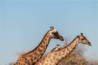 Botswana Weersverwachting