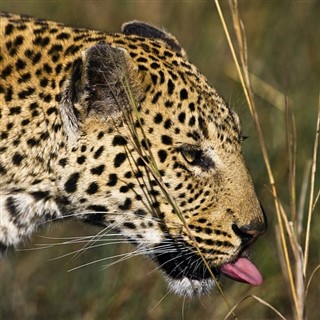 Botswana időjárás-jelentés