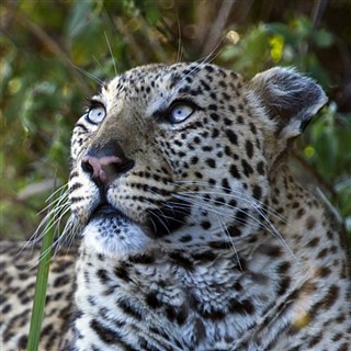 Botswana időjárás-jelentés