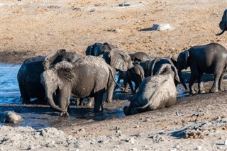Botswana időjárás-jelentés