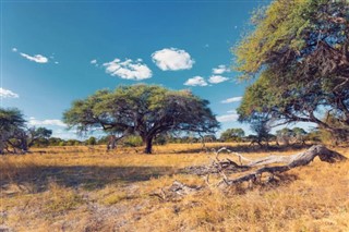 Botswana vejrudsigt