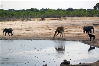 Botswana vejrudsigt