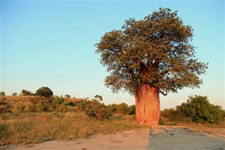 Botswana weather forecast