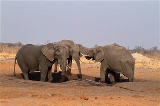 Botswana prévisions météorologiques