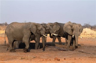 Botswana previsioni del tempo