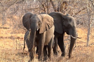 Botswana időjárás-jelentés