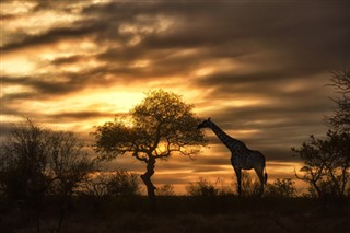 Botswana Időjárás-jelentés