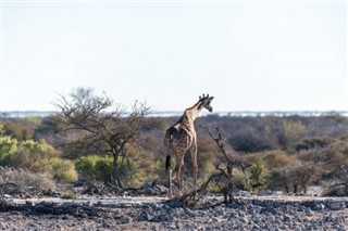 Botswana vejrudsigt