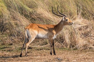 Botswana időjárás-jelentés