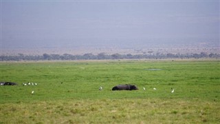 Botswana weersvoorspelling