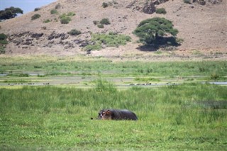 Botswana prévisions météorologiques