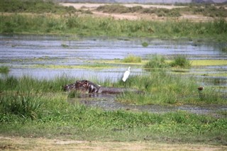 Botswana prévisions météorologiques