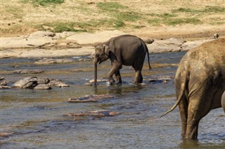 Botswana vejrudsigt