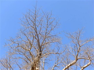 Botswana vejrudsigt