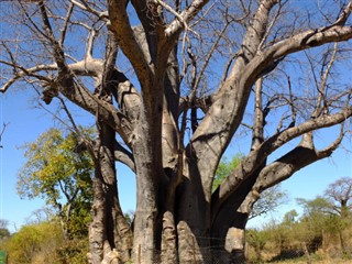 Botswana vejrudsigt