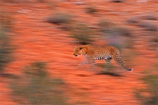 Botswana vejrudsigt