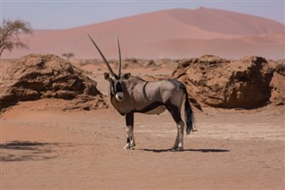 Botswana prévisions météorologiques