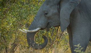 Botswana időjárás-jelentés