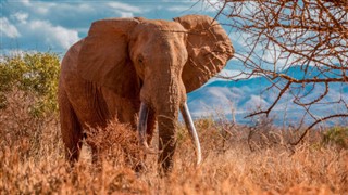 Botswana vejrudsigt